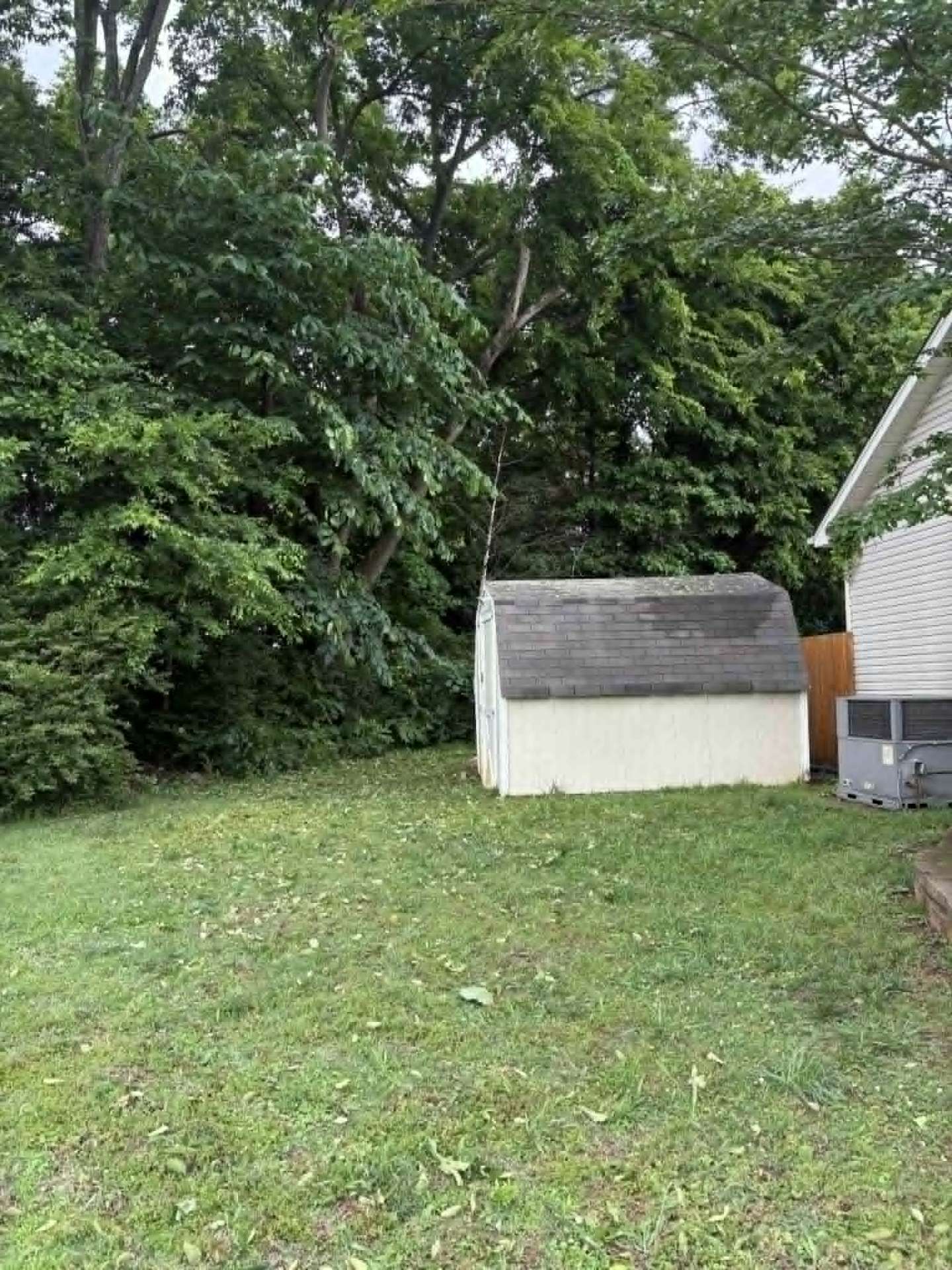 Cleaned-up residential yard after lawn and tree service in Wichita